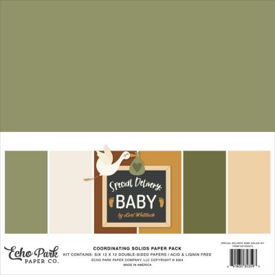 Echo Park Special Delivery: Baby - Coordinating Solids