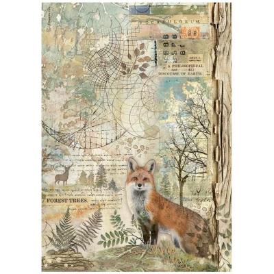 Stamperia Forest - Rice Paper Fox